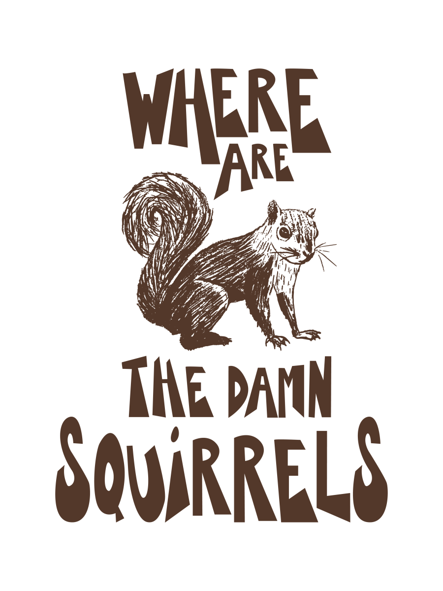 SquirrelDesign